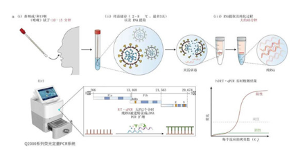 1787326100938650.png 图片4.png