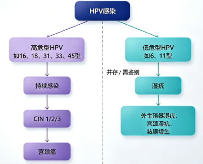 图片1(13).png