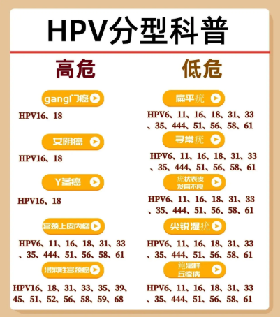 0831-西南附大-新闻源-1篇-HPV阳性多久转阴__图1.png